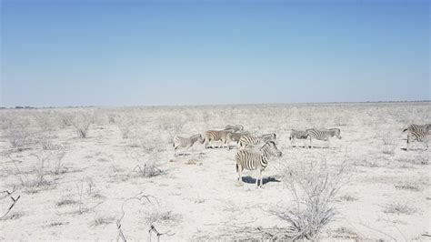 windy Windhoek